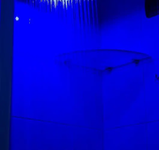 Backpacker 호스텔